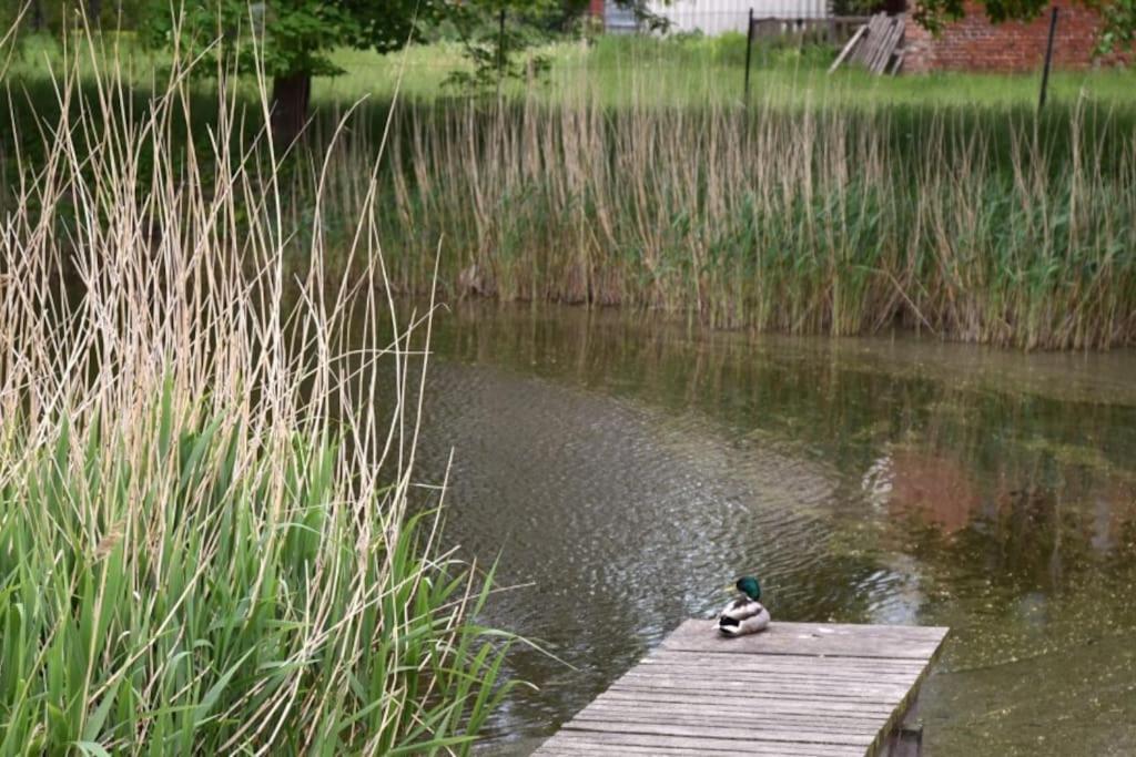 Forsthaus Lelkendorf / Ferienwohnung Esterno foto